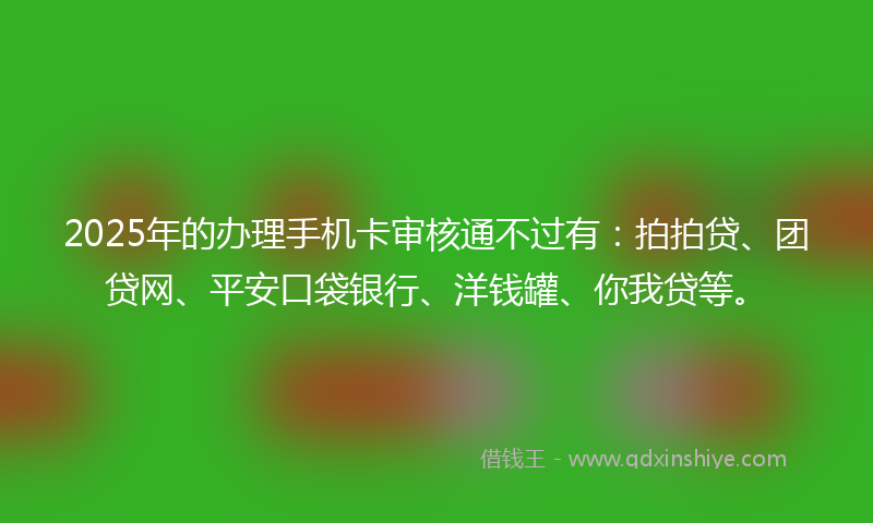 2025年的办理手机卡审核通不过有：拍拍贷、团贷网、平安口袋银行、洋钱罐、你我贷等。