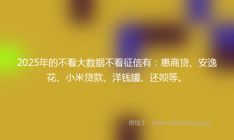 2025年的不看大数据不看征信有：惠商贷、安逸花、小米贷款、洋钱罐、还呗等。