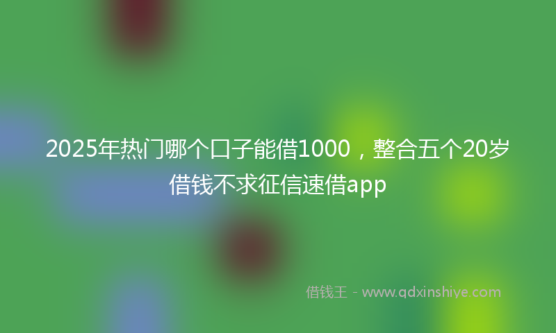 2025年热门哪个口子能借1000，整合五个20岁借钱不求征信速借app