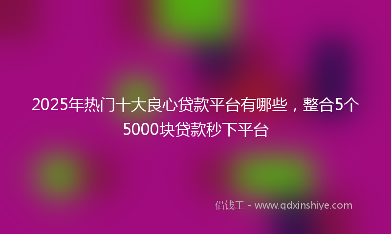 2025年热门十大良心贷款平台有哪些，整合5个5000块贷款秒下平台