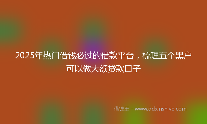 2025年热门借钱必过的借款平台，梳理五个黑户可以做大额贷款口子