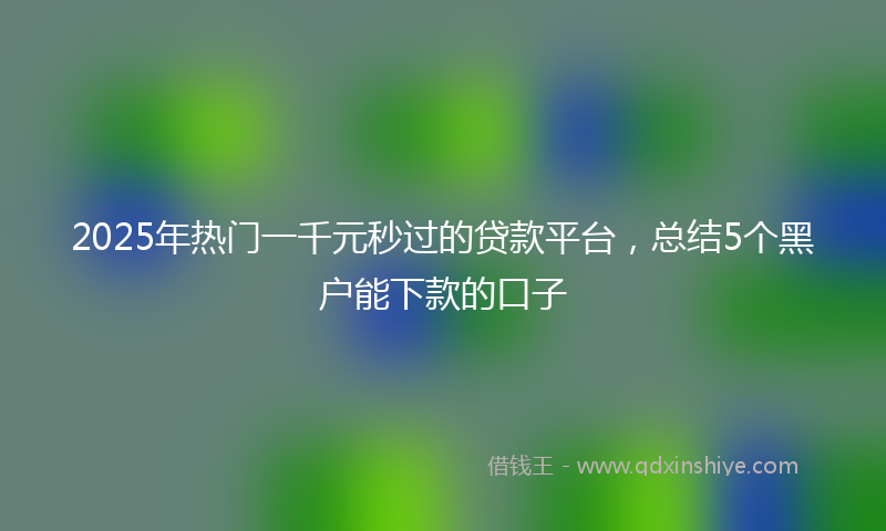 2025年热门一千元秒过的贷款平台，总结5个黑户能下款的口子