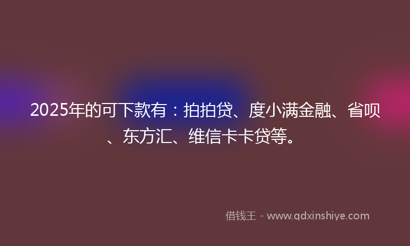2025年的可下款有：拍拍贷、度小满金融、省呗、东方汇、维信卡卡贷等。