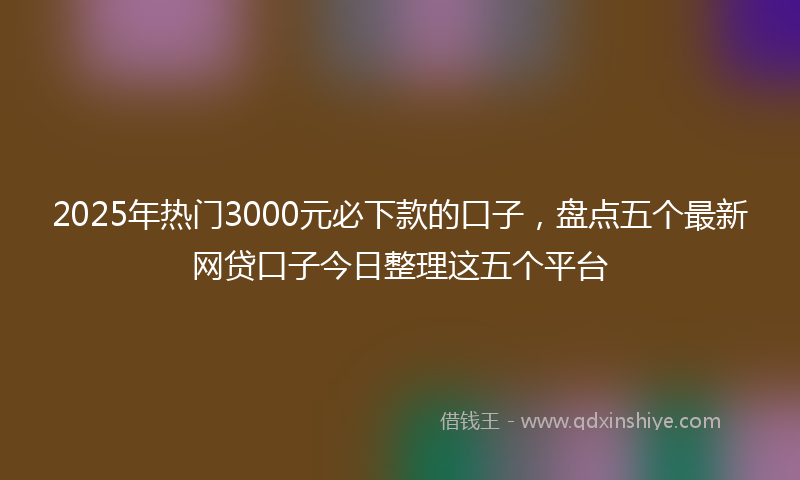 2025年热门3000元必下款的口子，盘点五个最新网贷口子今日整理这五个平台