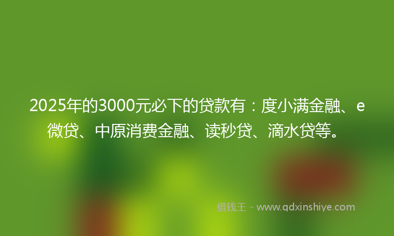 2025年的3000元必下的贷款有：度小满金融、e微贷、中原消费金融、读秒贷、滴水贷等。