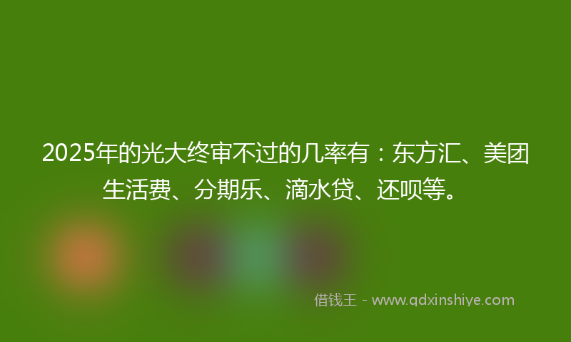 2025年的光大终审不过的几率有：东方汇、美团生活费、分期乐、滴水贷、还呗等。