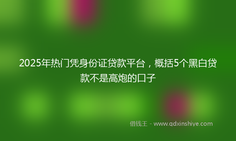 2025年热门凭身份证贷款平台，概括5个黑白贷款不是高炮的口子
