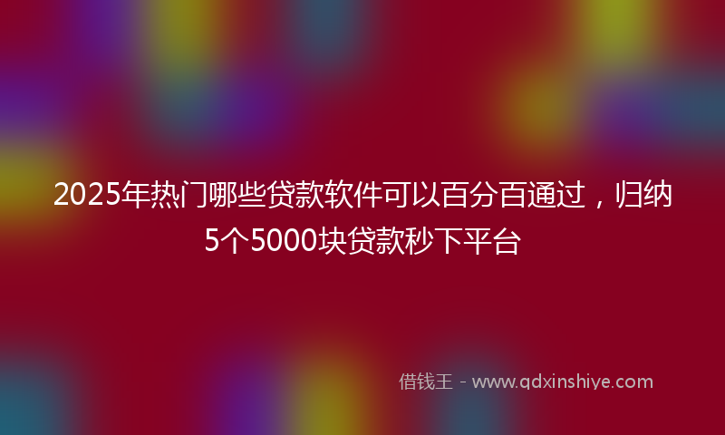 2025年热门哪些贷款软件可以百分百通过，归纳5个5000块贷款秒下平台
