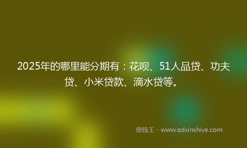 2025年的哪里能分期有：花呗、51人品贷、功夫贷、小米贷款、滴水贷等。