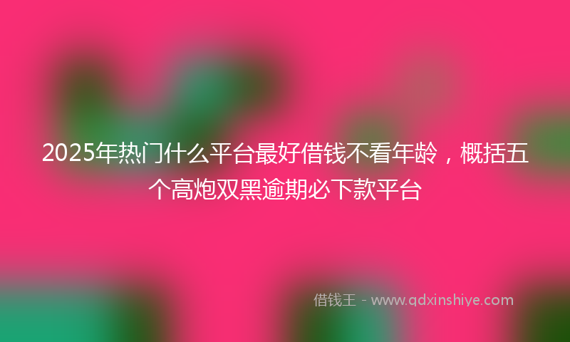 2025年热门什么平台最好借钱不看年龄，概括五个高炮双黑逾期必下款平台