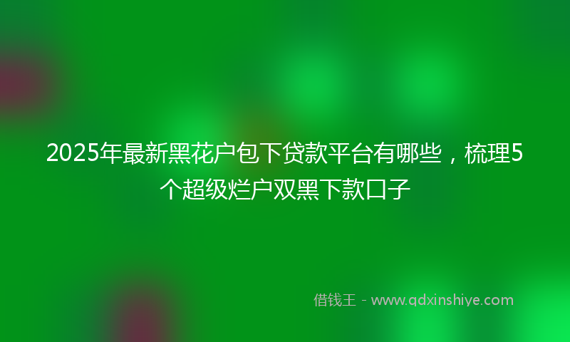 2025年最新黑花户包下贷款平台有哪些，梳理5个超级烂户双黑下款口子