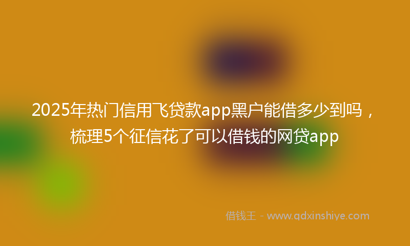 2025年热门信用飞贷款app黑户能借多少到吗，梳理5个征信花了可以借钱的网贷app