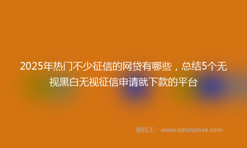 2025年热门不少征信的网贷有哪些，总结5个无视黑白无视征信申请就下款的平台