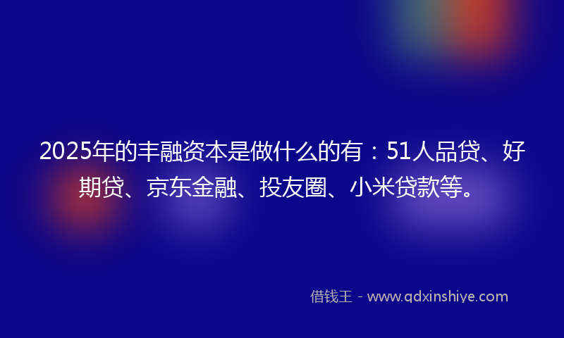 2025年的丰融资本是做什么的有：51人品贷、好期贷、京东金融、投友圈、小米贷款等。