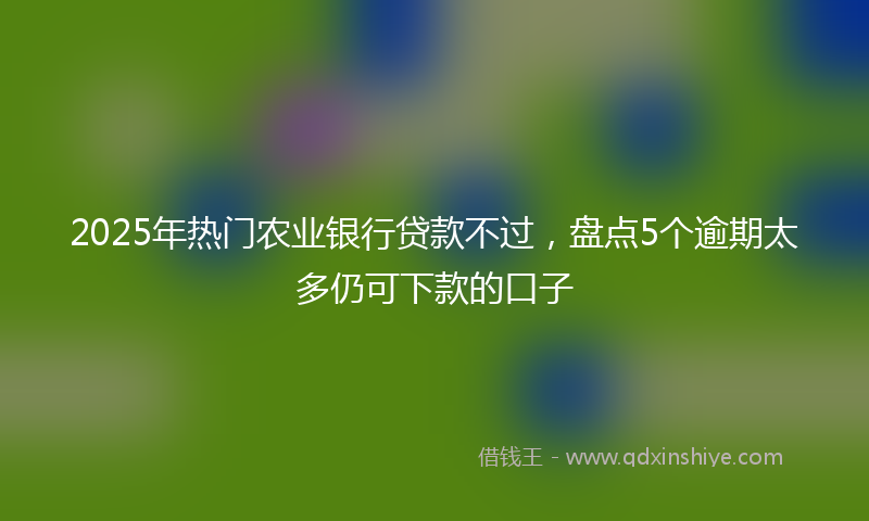 2025年热门农业银行贷款不过，盘点5个逾期太多仍可下款的口子