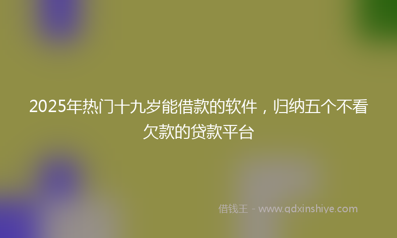 2025年热门十九岁能借款的软件，归纳五个不看欠款的贷款平台