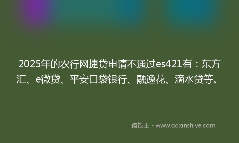 2025年的农行网捷贷申请不通过es421有：东方汇、e微贷、平安口袋银行、融逸花、滴水贷等。