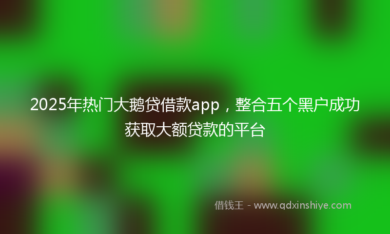 2025年热门大鹅贷借款app，整合五个黑户成功获取大额贷款的平台