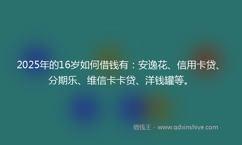 2025年的16岁如何借钱有：安逸花、信用卡贷、分期乐、维信卡卡贷、洋钱罐等。