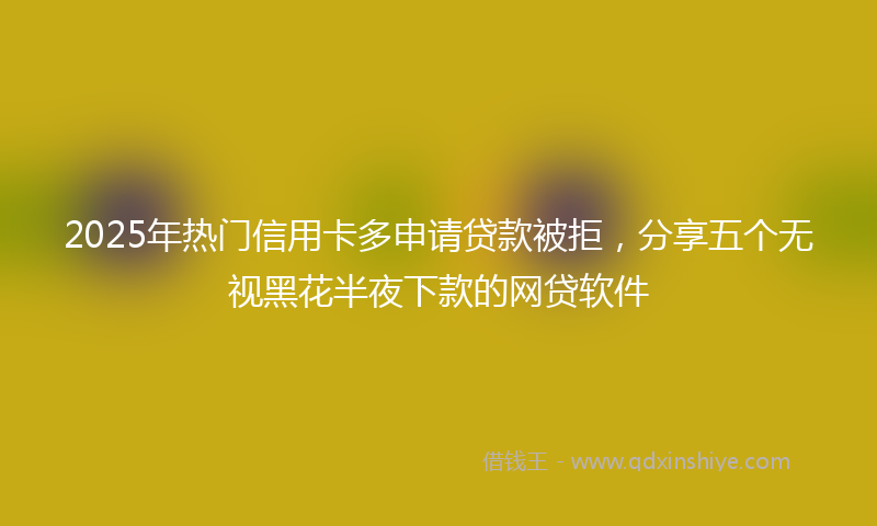 2025年热门信用卡多申请贷款被拒，分享五个无视黑花半夜下款的网贷软件