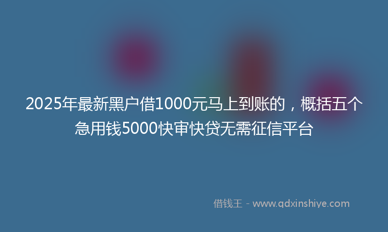 2025年最新黑户借1000元马上到账的，概括五个急用钱5000快审快贷无需征信平台