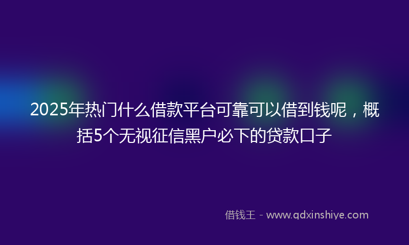 2025年热门什么借款平台可靠可以借到钱呢，概括5个无视征信黑户必下的贷款口子
