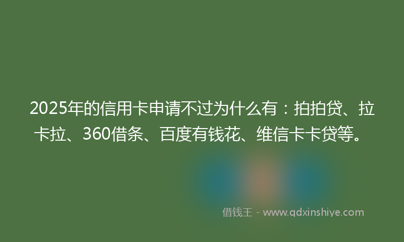 2025年的信用卡申请不过为什么有：拍拍贷、拉卡拉、360借条、百度有钱花、维信卡卡贷等。