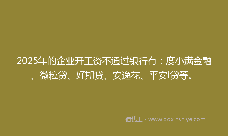 2025年的企业开工资不通过银行有：度小满金融、微粒贷、好期贷、安逸花、平安i贷等。