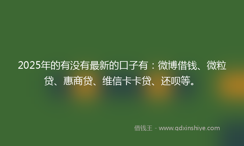2025年的有没有最新的口子有：微博借钱、微粒贷、惠商贷、维信卡卡贷、还呗等。