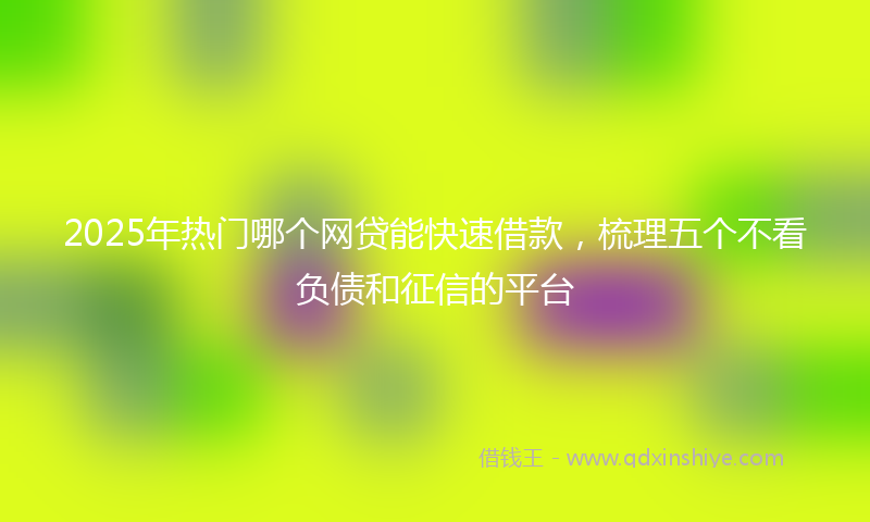 2025年热门哪个网贷能快速借款，梳理五个不看负债和征信的平台