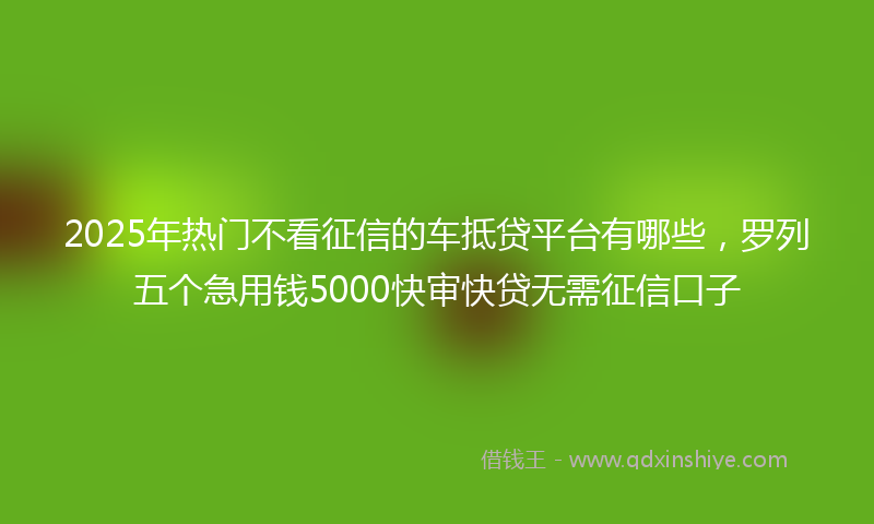 2025年热门不看征信的车抵贷平台有哪些，罗列五个急用钱5000快审快贷无需征信口子