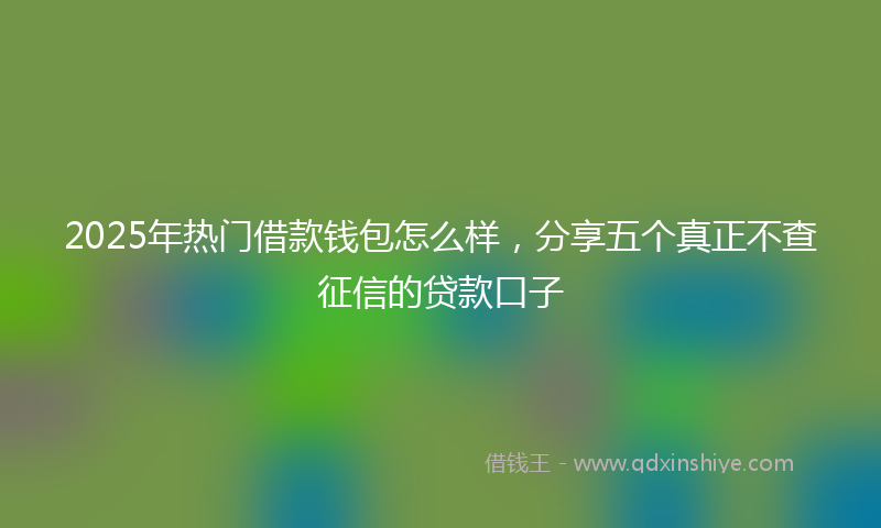 2025年热门借款钱包怎么样，分享五个真正不查征信的贷款口子
