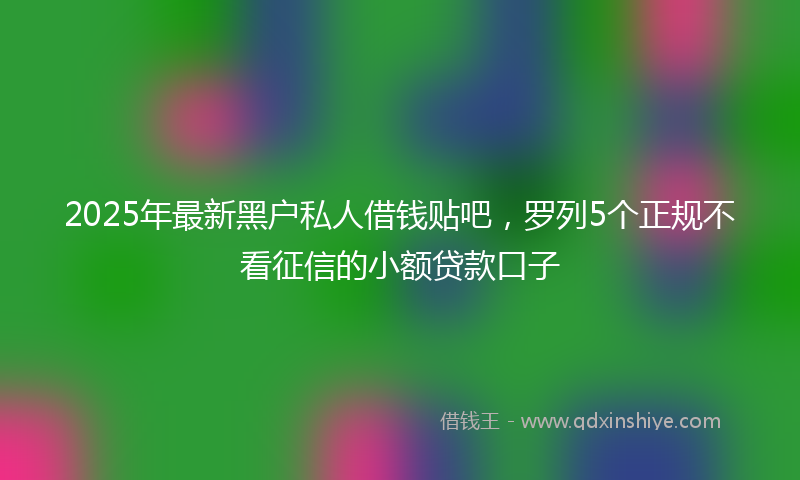 2025年最新黑户私人借钱贴吧，罗列5个正规不看征信的小额贷款口子