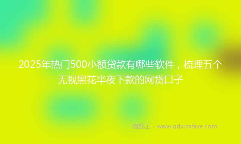 2025年热门500小额贷款有哪些软件，梳理五个无视黑花半夜下款的网贷口子