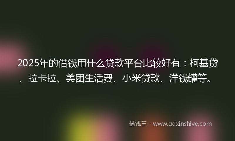 2025年的借钱用什么贷款平台比较好有：柯基贷、拉卡拉、美团生活费、小米贷款、洋钱罐等。