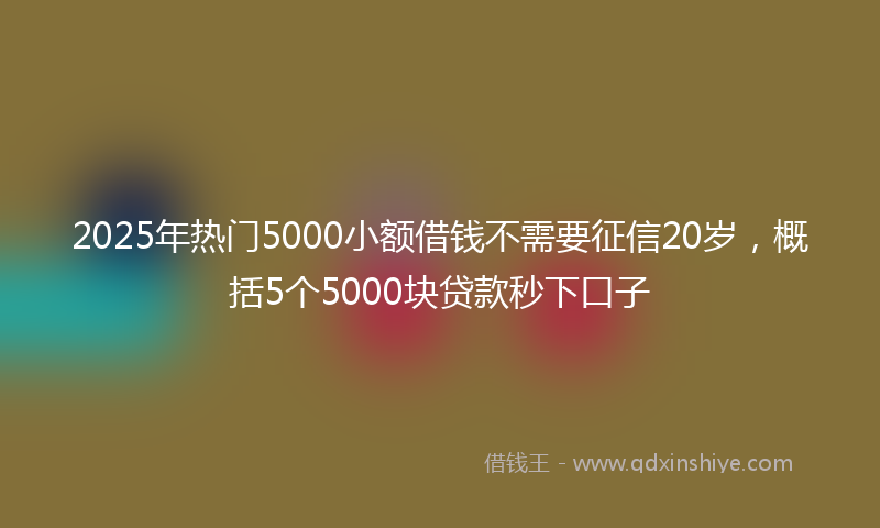 2025年热门5000小额借钱不需要征信20岁，概括5个5000块贷款秒下口子