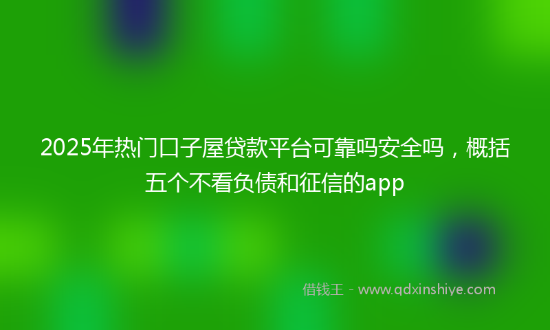 2025年热门口子屋贷款平台可靠吗安全吗，概括五个不看负债和征信的app