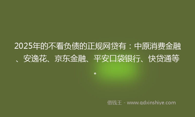 2025年的不看负债的正规网贷有：中原消费金融、安逸花、京东金融、平安口袋银行、快贷通等。