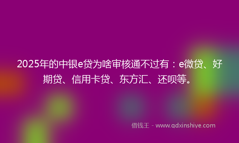 2025年的中银e贷为啥审核通不过有：e微贷、好期贷、信用卡贷、东方汇、还呗等。
