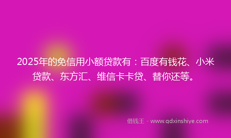 2025年的免信用小额贷款有：百度有钱花、小米贷款、东方汇、维信卡卡贷、替你还等。