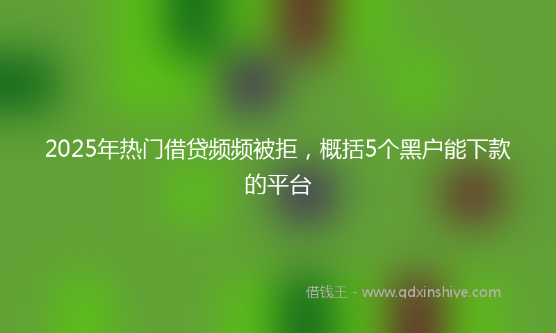 2025年热门借贷频频被拒，概括5个黑户能下款的平台