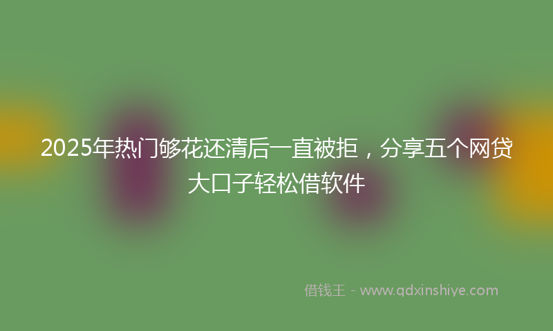 2025年热门够花还清后一直被拒，分享五个网贷大口子轻松借软件