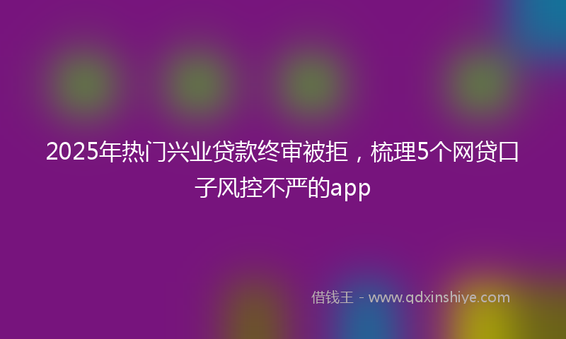 2025年热门兴业贷款终审被拒，梳理5个网贷口子风控不严的app