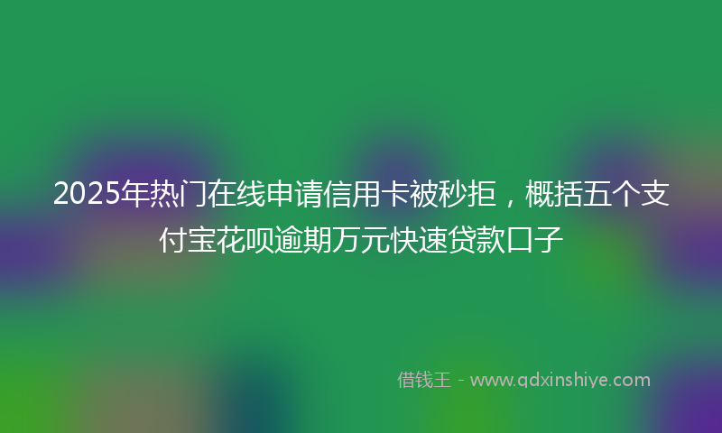2025年热门在线申请信用卡被秒拒，概括五个支付宝花呗逾期万元快速贷款口子