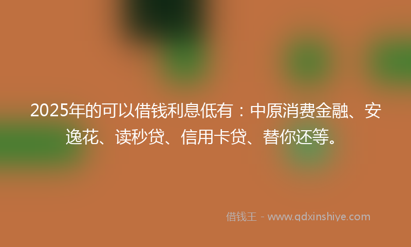 2025年的可以借钱利息低有：中原消费金融、安逸花、读秒贷、信用卡贷、替你还等。