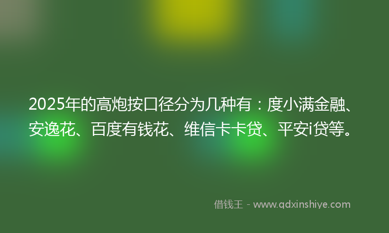 2025年的高炮按口径分为几种有：度小满金融、安逸花、百度有钱花、维信卡卡贷、平安i贷等。