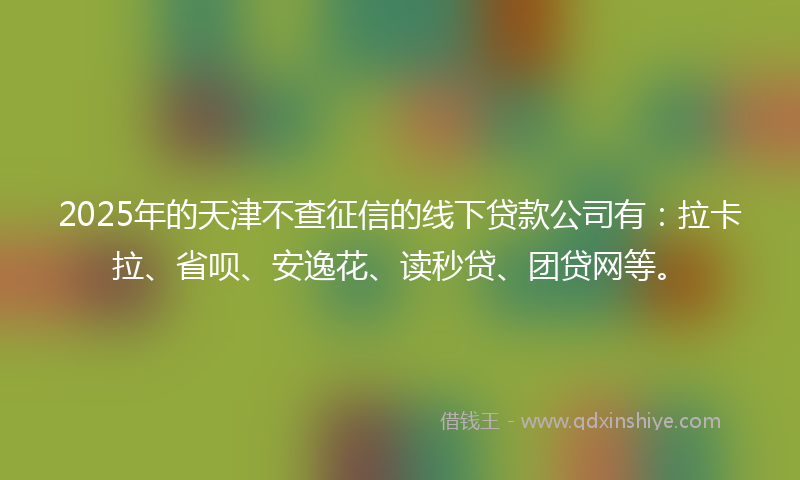 2025年的天津不查征信的线下贷款公司有：拉卡拉、省呗、安逸花、读秒贷、团贷网等。