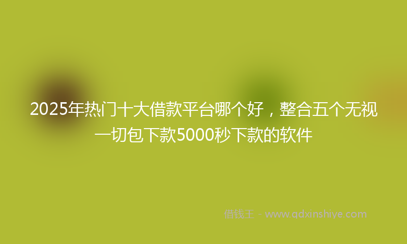 2025年热门十大借款平台哪个好，整合五个无视一切包下款5000秒下款的软件