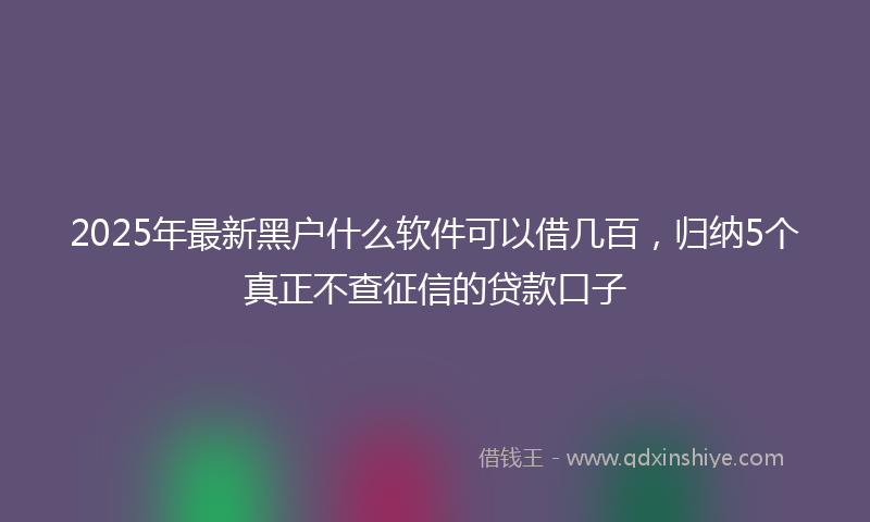 2025年最新黑户什么软件可以借几百，归纳5个真正不查征信的贷款口子