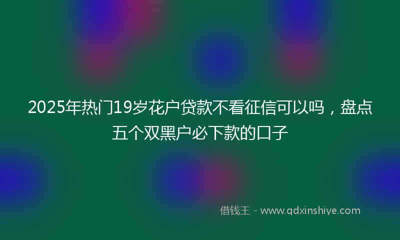 2025年热门19岁花户贷款不看征信可以吗，盘点五个双黑户必下款的口子